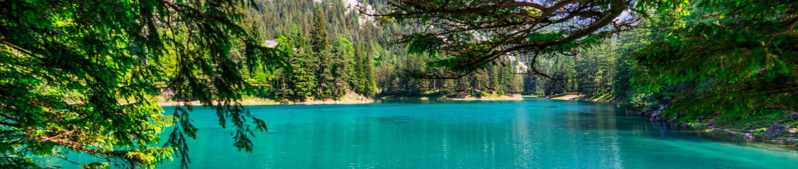     The Green Lake in Styria 